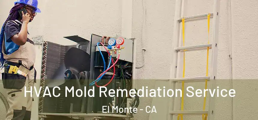  HVAC Mold Remediation Service El Monte - CA