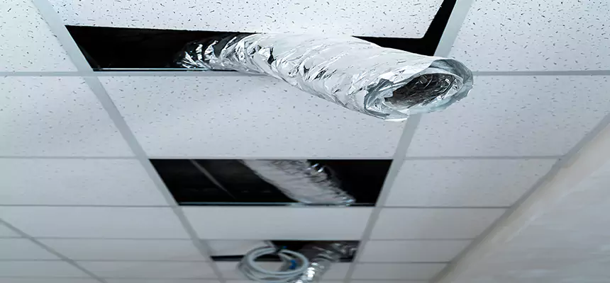 Our Air Duct Pet Hair Removal Services in El Monte, CA