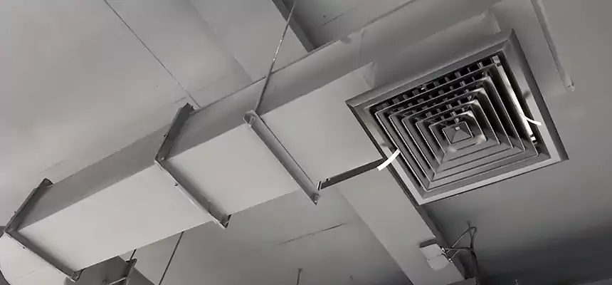 Our Pest Removal From Ducts Services in El Monte, CA