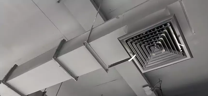 Our Rodent Droppings In Vents Services in El Monte, CA