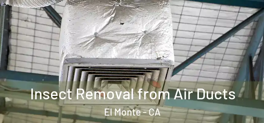  Insect Removal from Air Ducts El Monte - CA