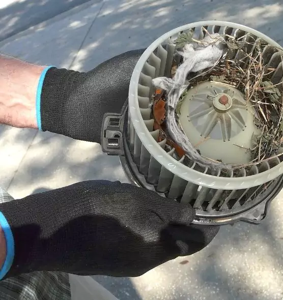 About Air Duct Mice Removal in El Monte, CA