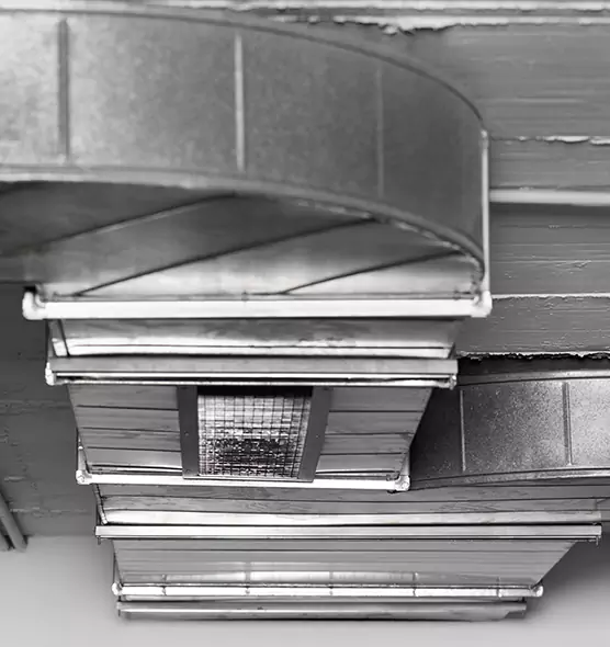 Professional Air Duct Pest Removal in El Monte, CA