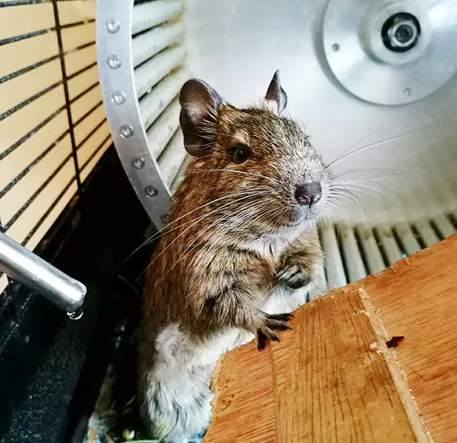 Why Homeowners & Businesses Trust Us El Monte, CA?